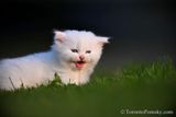 June1_23_106.jpg