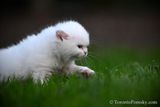 June4_23_118.jpg