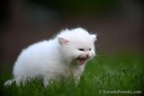 June4_23_124.jpg