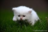 June4_23_133.jpg