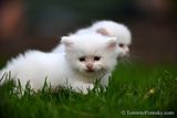 June4_23_023.jpg