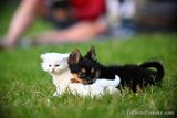 June6_23_068.jpg