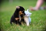 June6_23_077.jpg