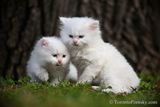 June9_23_280.jpg
