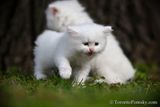 June9_23_285.jpg
