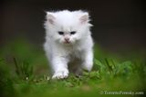 June9_23_301.jpg