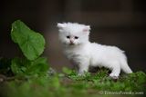 June9_23_305.jpg
