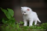 June9_23_314.jpg