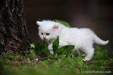 June9_23_316.jpg