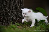 June9_23_322.jpg