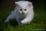 June9_23_194.jpg