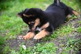 June9_23_085.JPG