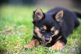 June9_23_107.jpg
