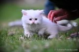 June14_23_028.jpg