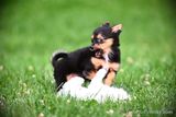 June16_23_405.jpg