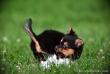 June16_23_407.jpg