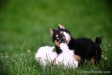 June16_23_423.jpg