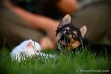 June16_23_035.jpg