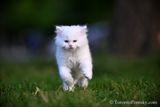 June17_23_062.jpg