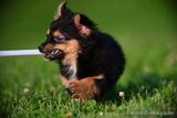 June18_23_083.jpg