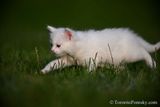 June18_23_090.jpg