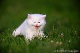 June18_23_011.jpg
