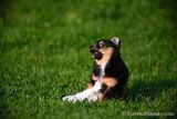 June18_23_028.jpg