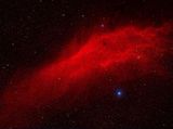 California Nebula