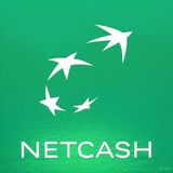 Net Cash 2.3 APK Free Download for Android Devices