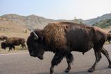 Theodore Roosevelt National Park South Unit