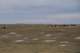 Theodore Roosevelt National Park South Unit