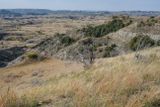 Teddy Roosevelt NP South Unit