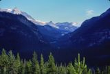 Yoho NP 1989