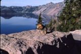 Crater Lake NP 1985