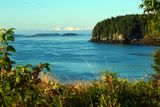 Pollock Cove On Campobello Island