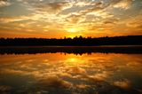 Glassy