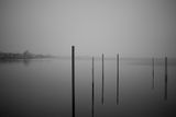 Misty Surface - December 25th