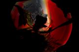 Moons, Castles, Trees | The Wrong Biennale 25-26 | Copenhagen Chronotopes