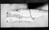 Pigment Fragment from Edgar Degas Dancers Practising in the Foyer
