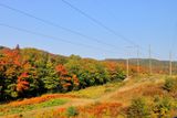 138A5046.JPG