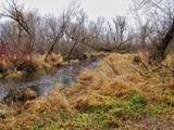 Vermillion River Trout Stream