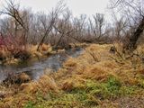 Vermillion River Trout Stream