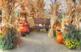 Pahls Market