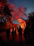 Astral Archway