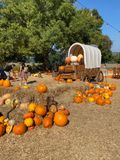 A Covered Wagon and a Little Walking Pumpkin
