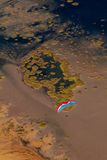 Djerba