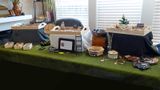 P1080663-2a.jpg