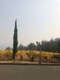 IMG_1918.JPG