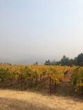 IMG_1920.JPG