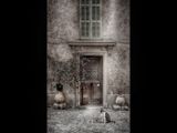 Doorway, pots and cat, Cagness sur Mere